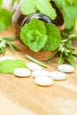 Alternative medicine with herbal and homeopathic pills Royalty Free Stock Photo