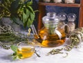 Alternative Medicine. Herbal Therapy. Infusion of healing plants Royalty Free Stock Photo