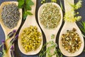 Alternative Medicine. Herbal Therapy. Healing plants Royalty Free Stock Photo