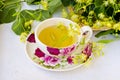 Alternative Medicine. Herbal Therapy. Lime blossom tea Royalty Free Stock Photo