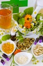 Alternative Medicine. Herbal Therapy. Medical plants. Royalty Free Stock Photo