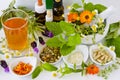 Alternative Medicine. Herbal Therapy. Medical plants. Royalty Free Stock Photo