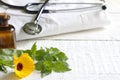 Alternative medicine herbs and stethoscope Royalty Free Stock Photo