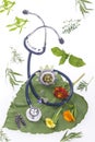 Alternative medicine herbs and stethoscope on leaf Royalty Free Stock Photo