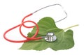 Alternative medicine herbs and stethoscope on leaf Royalty Free Stock Photo