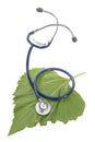 Alternative medicine herbs and stethoscope on leaf Royalty Free Stock Photo