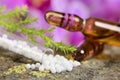 Alternative medicine with homeopathic pills Royalty Free Stock Photo