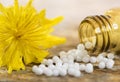 Alternative medicine with homeopathic pills Royalty Free Stock Photo