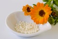 Alternative Medicine. Calendula globules. Royalty Free Stock Photo