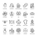 Alternative medicine line icons. Naturopathy, traditional treatment, homeopathy, osteopathy, herbal fish and leech