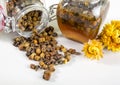 Alternative medicine mixture made with honey and bee bread . Royalty Free Stock Photo