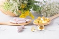 Alternative, medicine, naturopathy and dietary supplement. Herbal remedy in capsules and plants Royalty Free Stock Photo