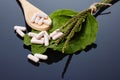 Alternative medicine, naturopathy and dietary supplement. Herbal remedy in capsules and plants over black background