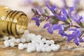 Alternative medicine with herbal and homeopathic pills Royalty Free Stock Photo