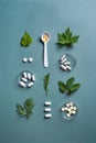 Alternative medicine, pills and green leaves Royalty Free Stock Photo