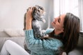 Adorable furry pet bunny rabbit and beautiful woman alone indoors at home, bonding, hugging, smiling, laughing, animal friendship