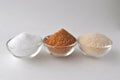 Alternative sweeteners and sugar substitutes - coconut bud sugar, xylitol, cane sugar