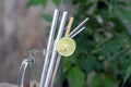 An alternative to reducing plastic straws. The concept of reducing non-degradable plastic waste
