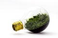 Alternative way of recycling incandescent lamps by planting plants inside. Lamp incandescent with moss inside on a white backgroun