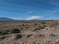 Altiplano in Bolivia