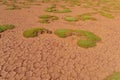 Altiplano landscape arid soil with green moss
