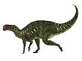 Altirhinus Dinosaur Side Profile
