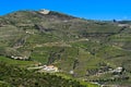 Alto Douro Vineyards