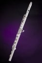 Alto Flute Isolated On Purple