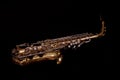 Alto Saxophone