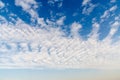 Altocumulus Clouds