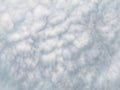 Altocumulus clouds creating a dense, mottled pattern across a light blue-grey sky. Royalty Free Stock Photo