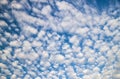 Altocumulus clouds on blue sky at sunny day. cloudscape. Beautiful sky weather forecast background