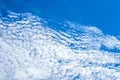 Altocumulus cloudscape on blue blue sky, Beautiful Cirrocumulus or Altocumulus on the middle altitude layer. Royalty Free Stock Photo