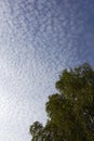 Altocumulus floccus clouds Royalty Free Stock Photo