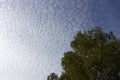 Altocumulus floccus clouds Royalty Free Stock Photo