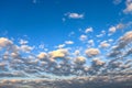 Altocumulus floccus clouds in the blue sky Royalty Free Stock Photo