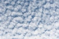 Altocumulus floccus clouds Royalty Free Stock Photo