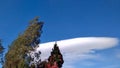 Altocumulus lenticularis cloud on the blue sky behind the trees Royalty Free Stock Photo