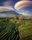 Altocumulus Lenticularis