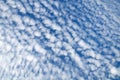 Altocumulus pretty little clouds Royalty Free Stock Photo