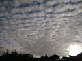 Altocumulus Undulatus Clouds