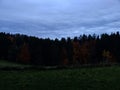 Altostratus clouds over woodland and meadow in early morning in autumn Royalty Free Stock Photo