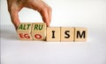 Altruism or egoism symbol. Businessman turns wooden cubes and changes the word `egoism` to `altruism`. Beautiful white backgro