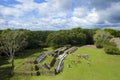 Altun Ha site in Belize Royalty Free Stock Photo