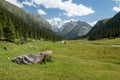 Altyn Arashan valley in Kyrgyzstan. Tian Shan mountains in Kirghizia, landscape