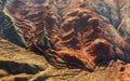 Altyn Emel national park in Kazakhstan. White Mountains Aktau, Martian desert landscape, up down photo Royalty Free Stock Photo