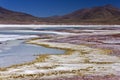 Alues Calientes Lagoon - Atacama Desert - Chile Royalty Free Stock Photo
