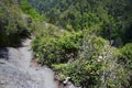 Alum Cave Bluffs Trail Royalty Free Stock Photo