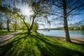 Alum lake, Chomutov, Czech republic Royalty Free Stock Photo