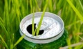 Aluminum can in grass Royalty Free Stock Photo